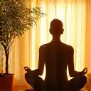 Persona meditando en un entorno sereno, con plantas y luz cálida, representando manejo del estrés.
